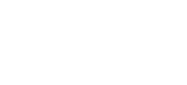 Make in India